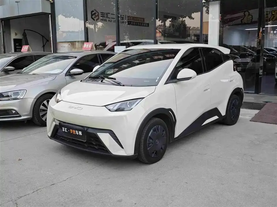 BYD Seagull Glory Edition 305km Vitality Edition 2024