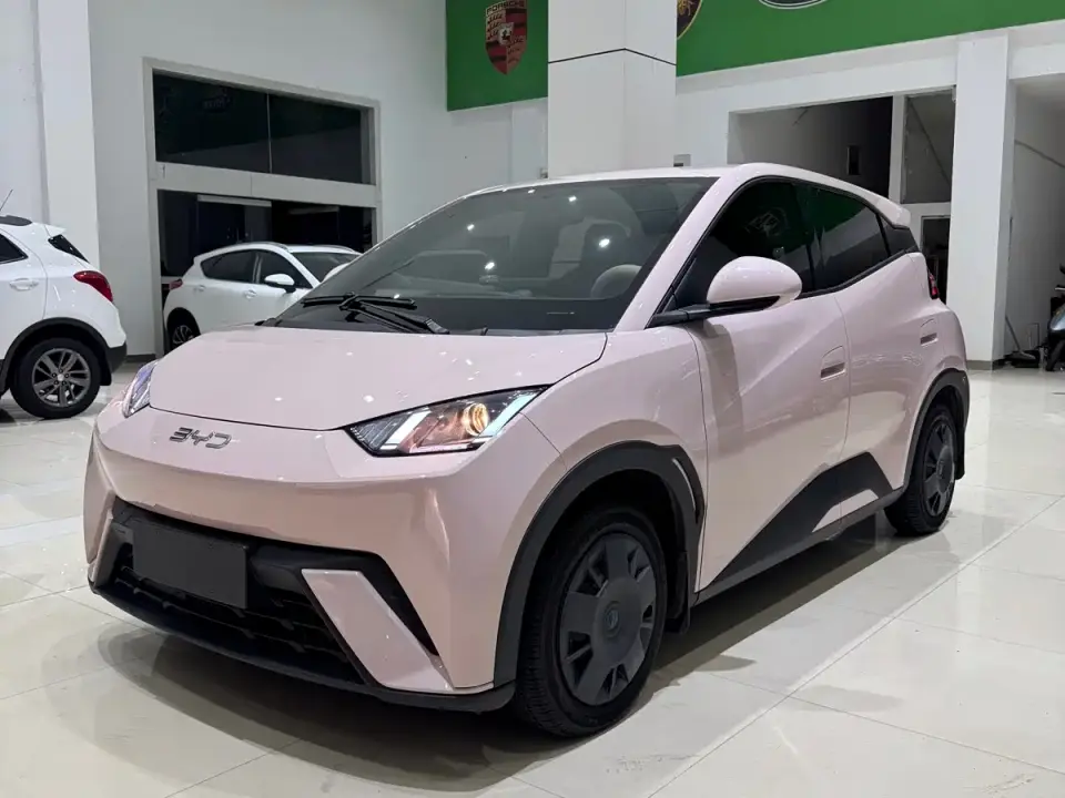 BYD Seagull Glory Edition 305km Vitality Edition 2024