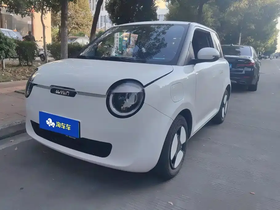 Changan Qiyuan Changan Lumin Model 205km Fragrant Edition 2024