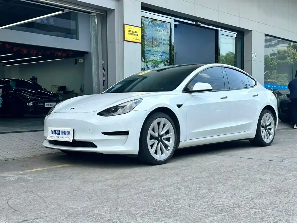 Tesla Model 3 Model Rear-Wheel Drive Version 2022