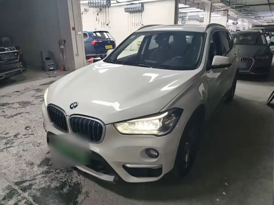 BMW X1 New Energy xDrive25Le Range Upgrade Edition 2019