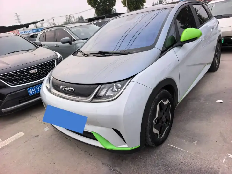 BYD Dolphin Model 405km Fashion Edition 2022