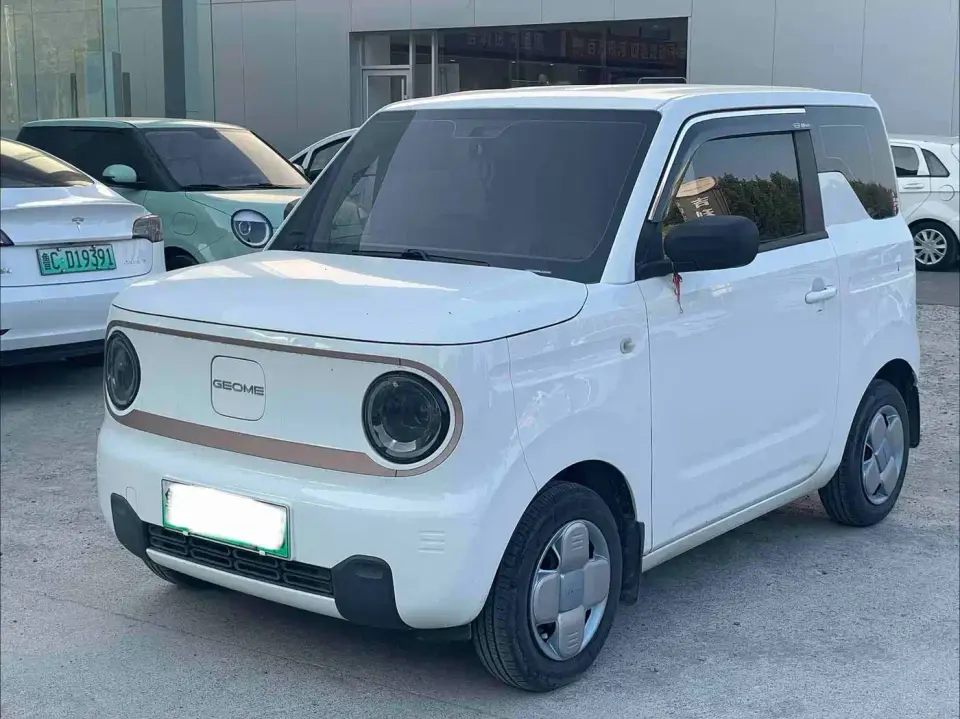 Geely Galaxy Panda Panda mini 200km Endurance Bear 2024