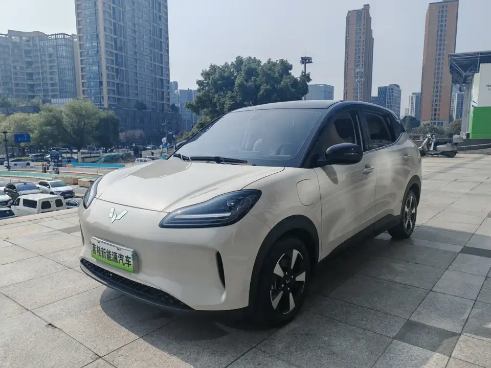 Wuling Motors Wuling Binguo PLUS Model 330km 5-Seater 2025