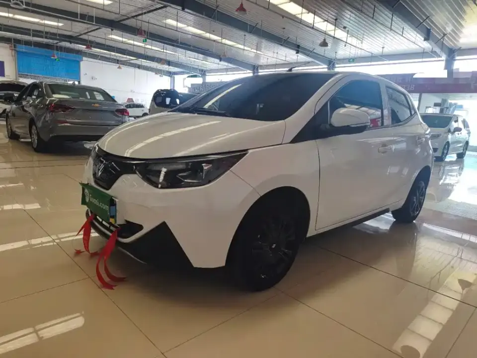 JMCG New Energy Little Kirin Model Lucky Edition 201km Comfort 2024