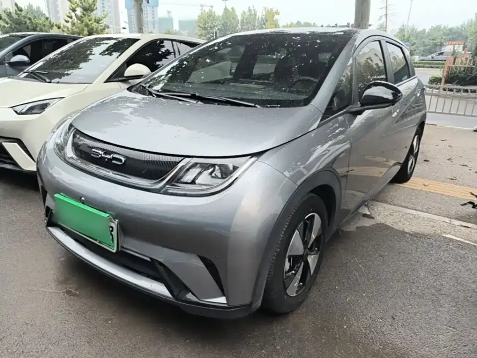 BYD Dolphin 420km Fashion Edition 2023