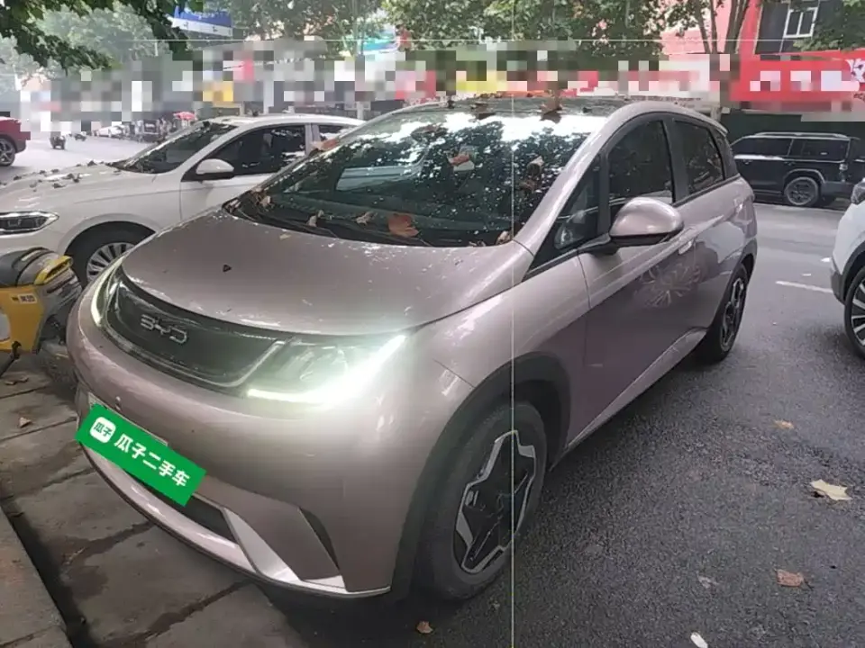 BYD Dolphin Model 405km Fashion Edition 2022