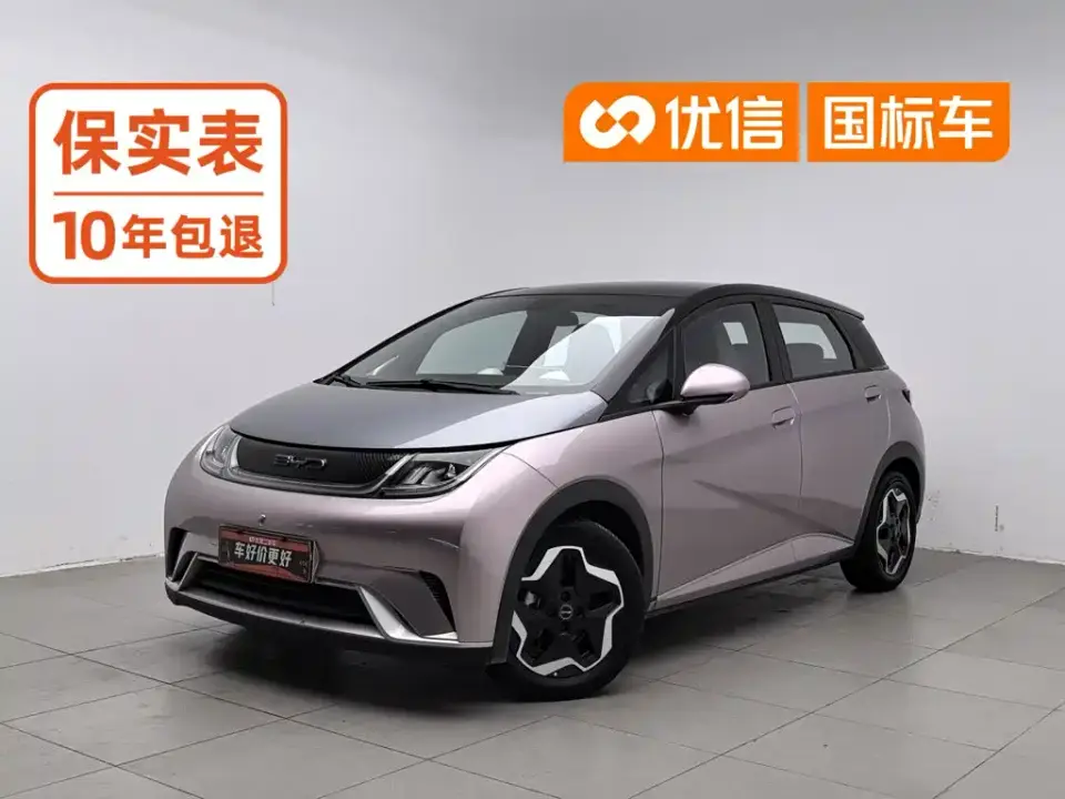 BYD Dolphin Model 405km Fashion Edition 2022
