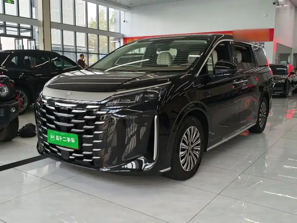BYD Xia DM-i 1.5T 100km Surpass Edition 2025