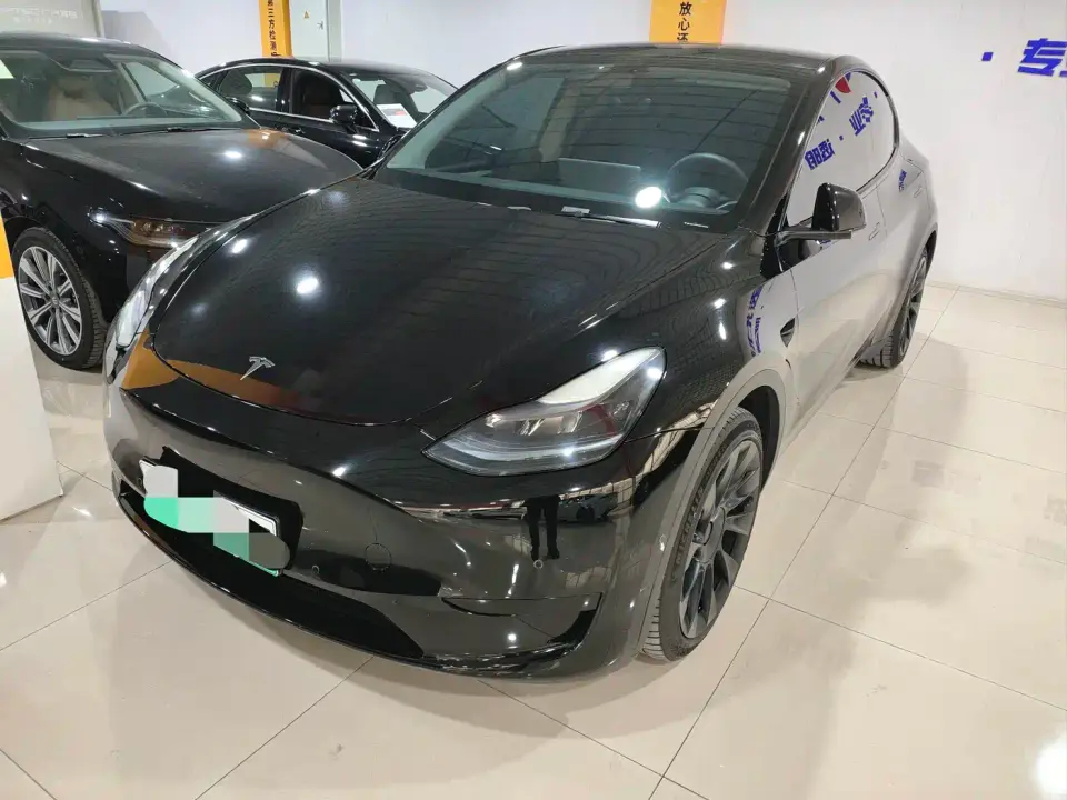 Tesla Model Y Rear-Wheel Drive Version 2022