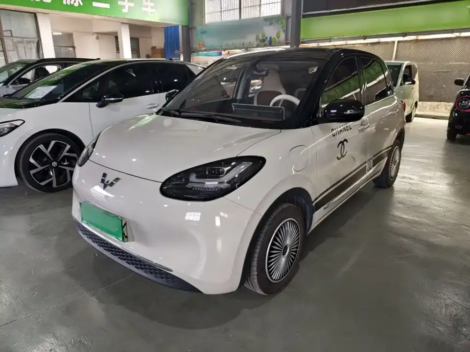 Wuling Motors Wuling Bingo 333km Comfort Edition 2024