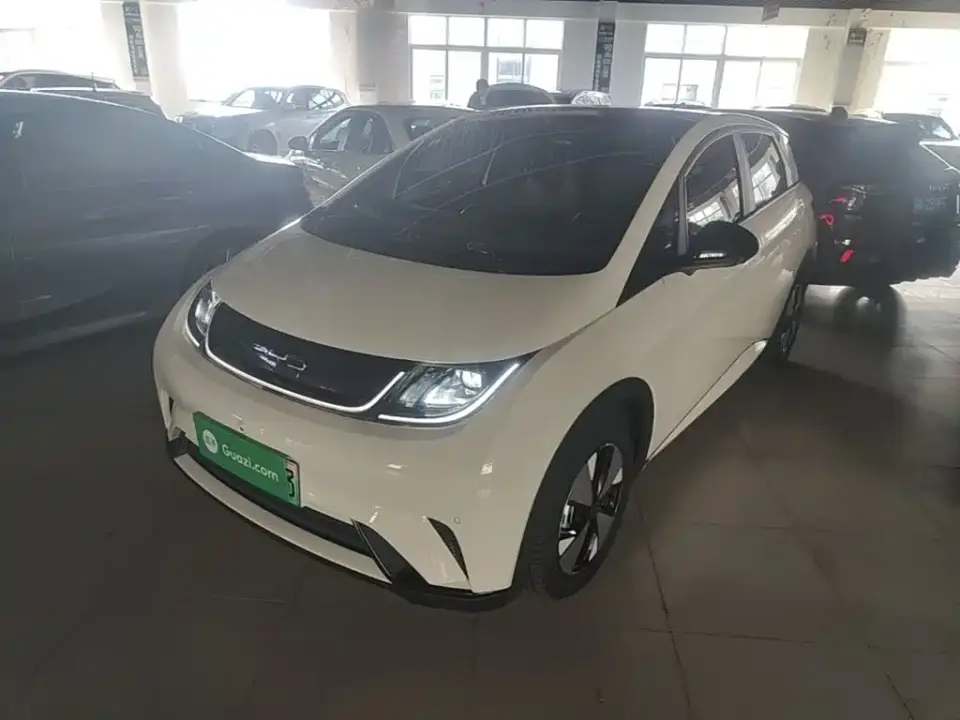 BYD Dolphin 420km Fashion Edition 2023