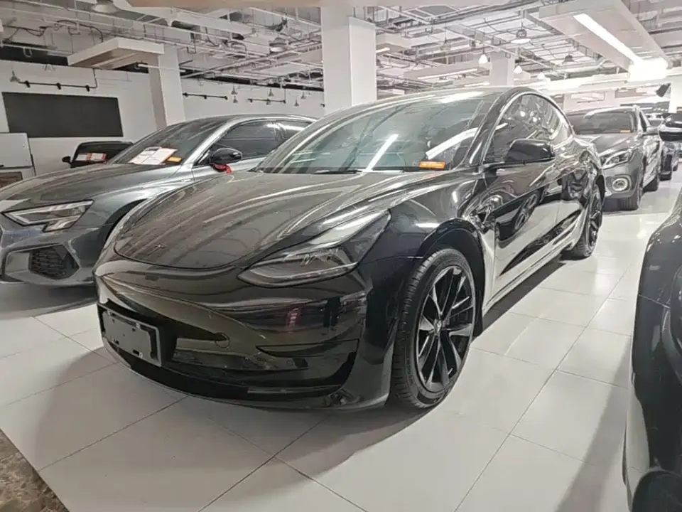 Tesla Model 3 Model Rear-Wheel Drive Version 2023