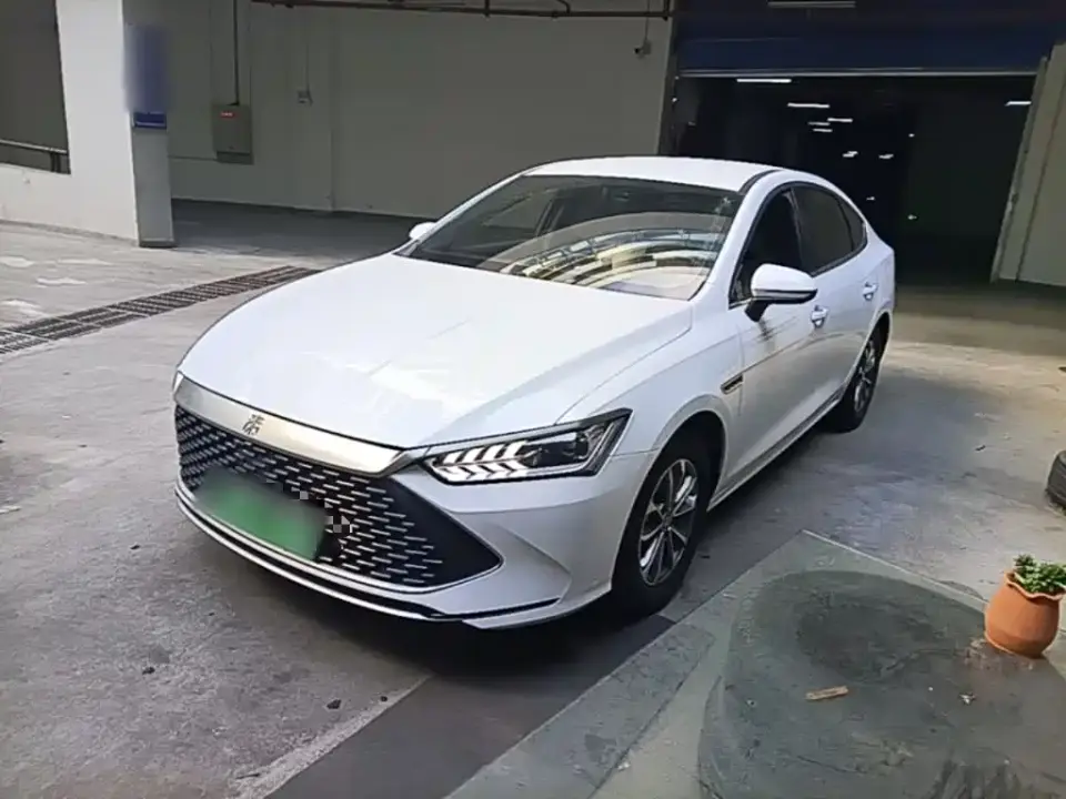 BYD Qin PLUS Glory Edition DM-i 55KM Leading 2024