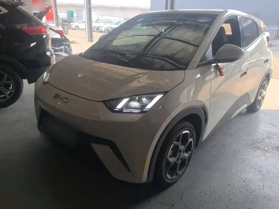 BYD Seagull Glory Edition 405km Soaring Edition 2024