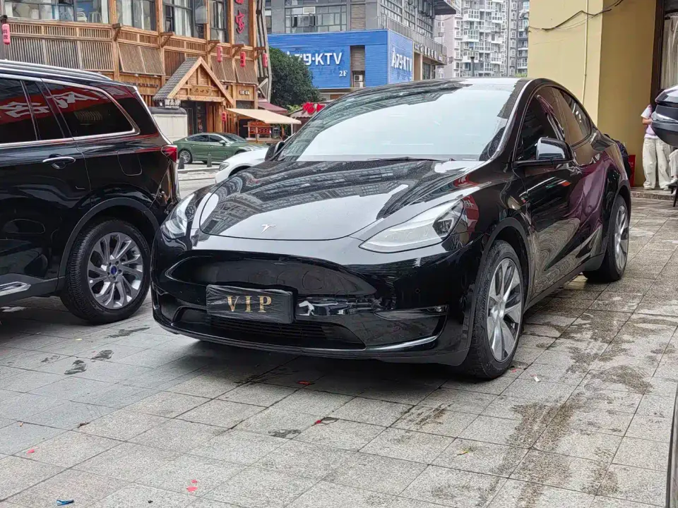 Tesla Model Y Standard Range Rear-Wheel Drive 2021
