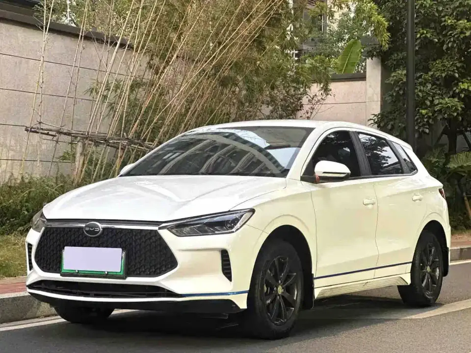 BYD e2 Comfort Model 2021