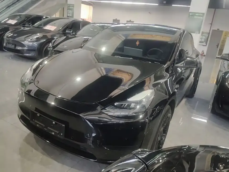 Tesla Model Y Rear-Wheel Drive Edition 2024