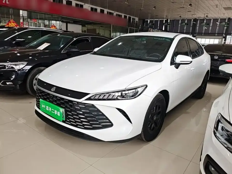 BYD Qin PLUS DM-i Smart Drive 55KM Leader 2025