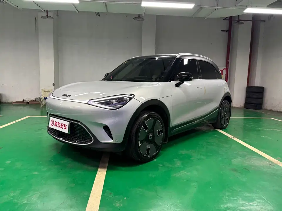 Smart Elf #1 Premium Edition 2024