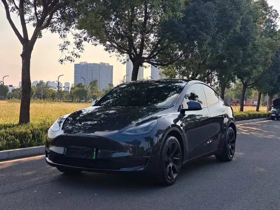 Tesla Model Y Long Range AWD 2024
