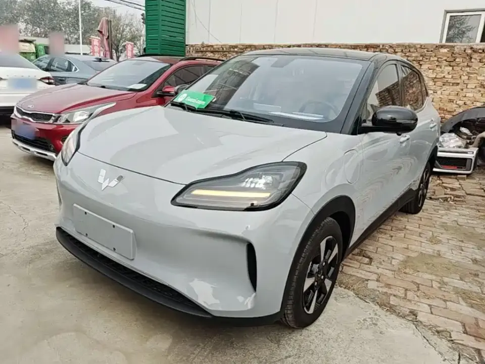 Wuling Motors Wuling Binguo PLUS Model 510km Flagship Edition 4-Seater 2024