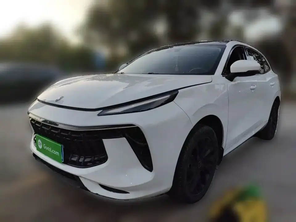 Dongfeng Fengxing Fengxing T5 EVO 1.5TD DCT Diamond Edition 2021