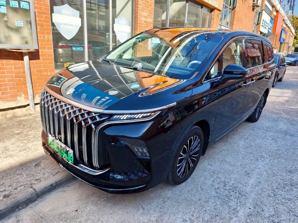Dongfeng Fengxing Starlight V9 1.5TD 200km Chinese Knot Series Exclusive 2025
