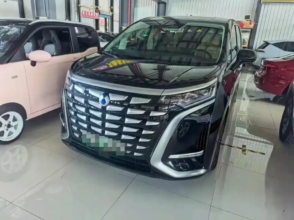 Denza D9 DM-i 1050 Premium 2024