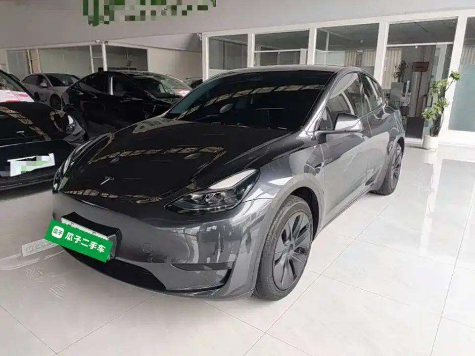Tesla Model Y Rear-Wheel Drive Version 2024