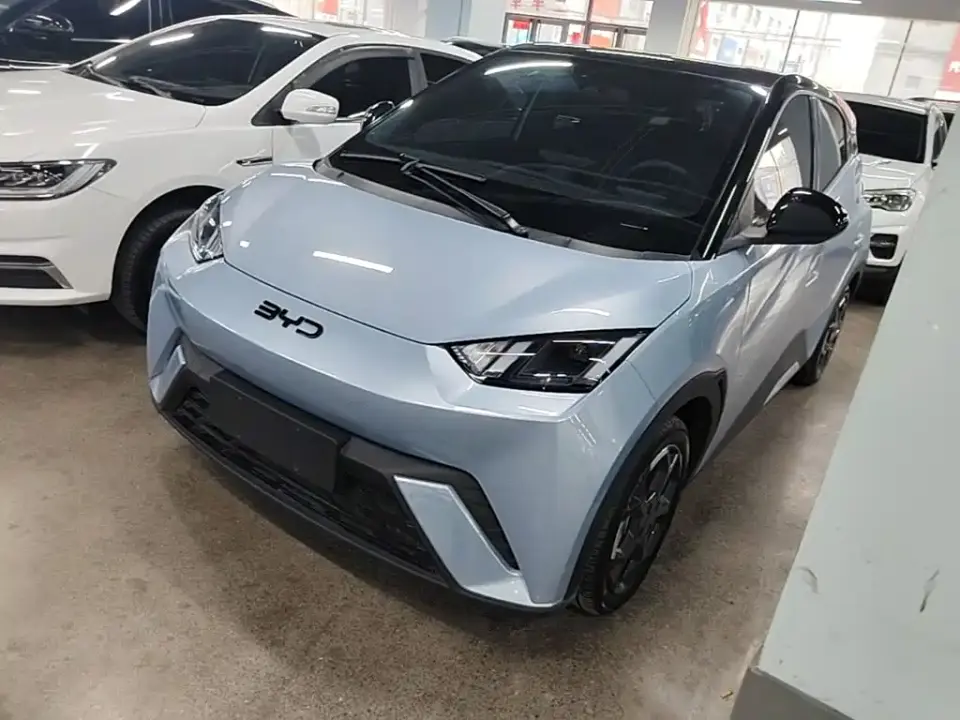 BYD Seagull 305km Freedom 2024
