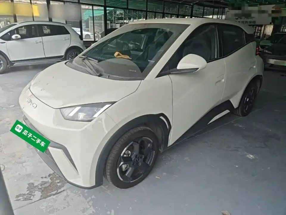 BYD Seagull Flying Edition 2024