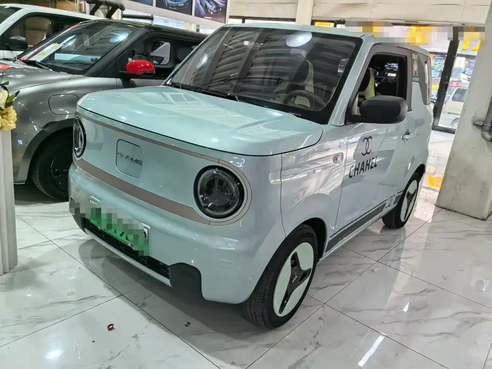 Geely Galaxy Panda Panda Mini 200km Lively Bear 2023