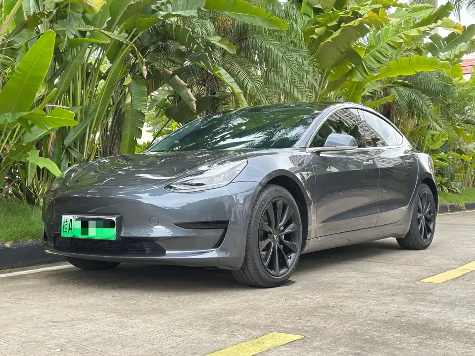 Tesla Model 3 Standard Range Rear-Wheel Drive Upgrade 2020