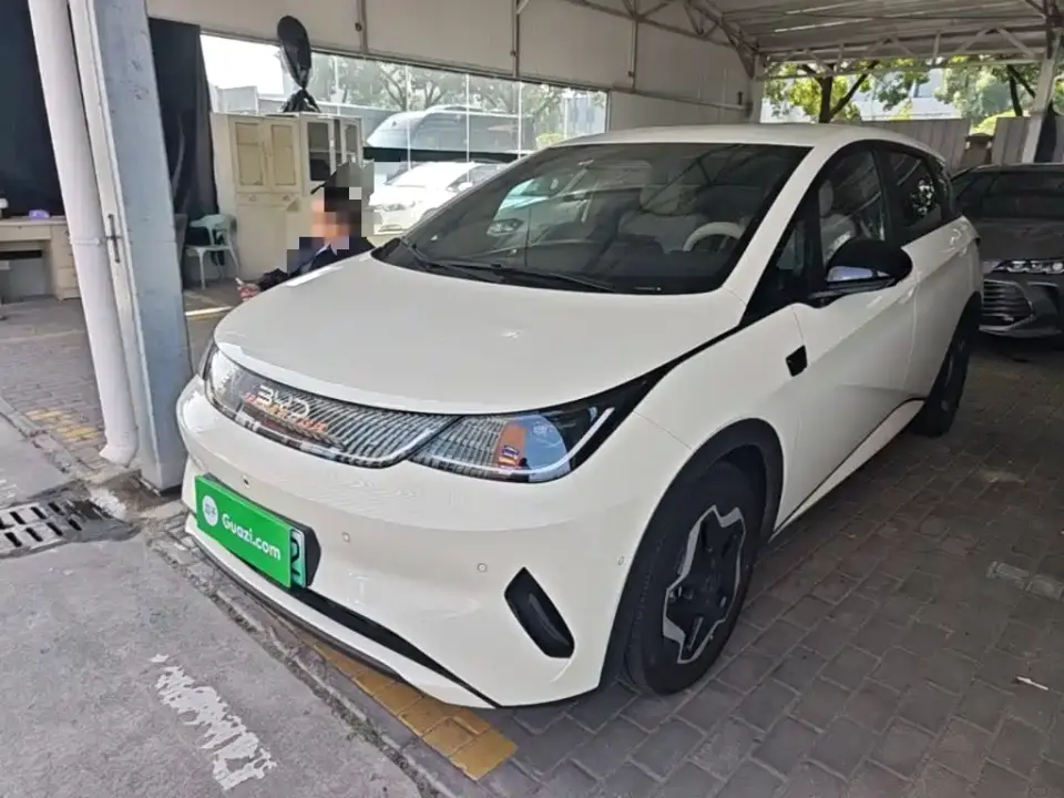 BYD Dolphin Smart Drive Edition 420km Freedom Version 2025