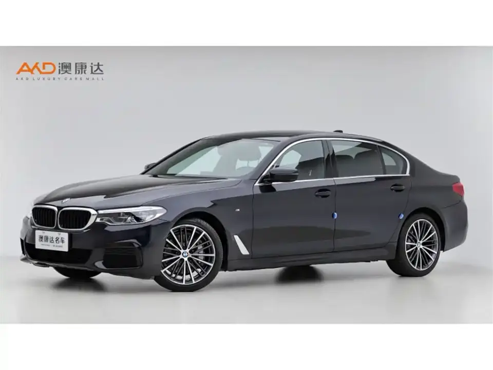 BMW 5 Series 530Li Exclusive M Sport Package 2020