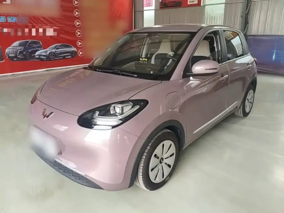 Wuling Motors Wuling Bingo 333km Quick Enjoy Version 2023
