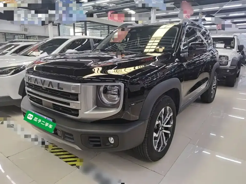Haval Big Dog 1.5T DCT Border Collie Edition 2025