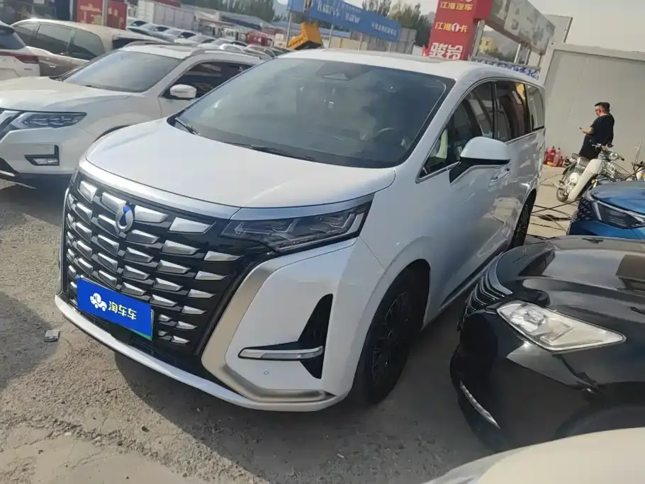 Denza D9 DM-i 980 AWD Prestige 2024