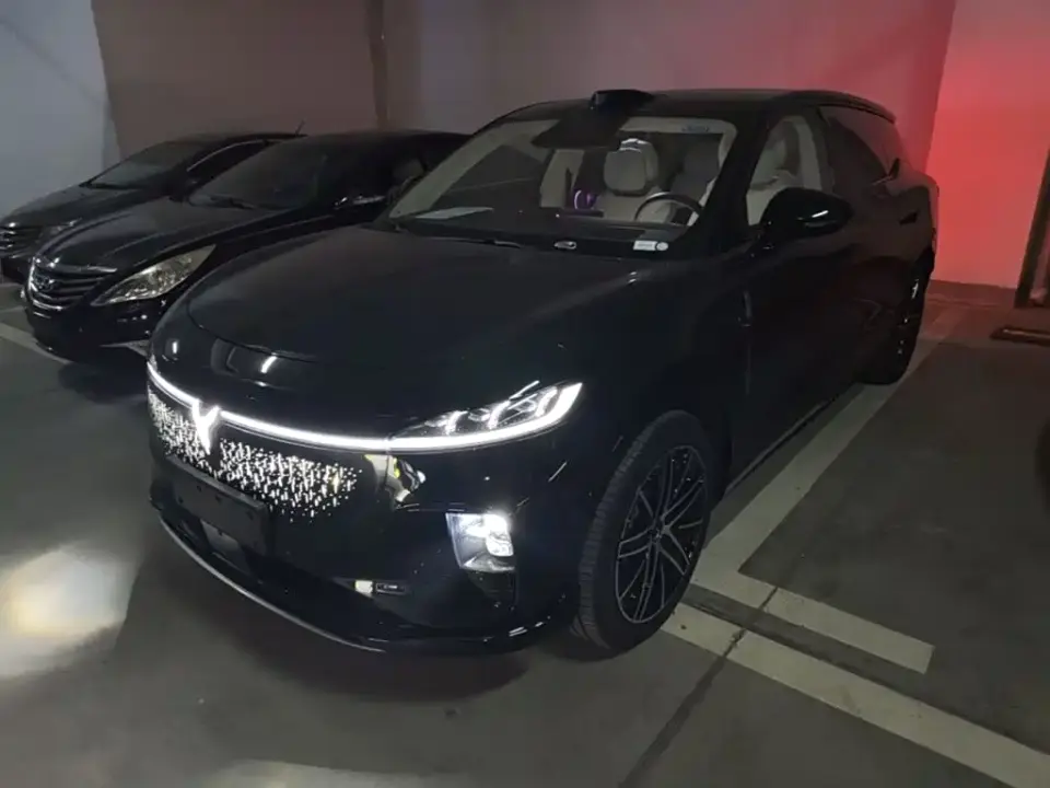 Voyah Auto Voyah Zhiyin Base 2025