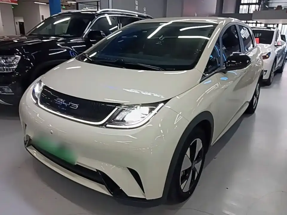 BYD Dolphin 420km Freedom Edition 2024
