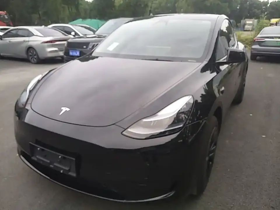 Tesla Model Y Rear-Wheel Drive Edition 2024