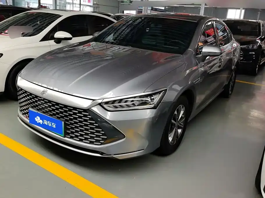 BYD Qin PLUS Champion Edition DM-i 55KM Leading 2024