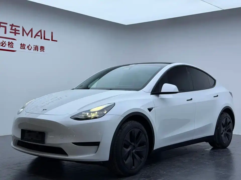 Tesla Model Y Rear-Wheel Drive Version 2024