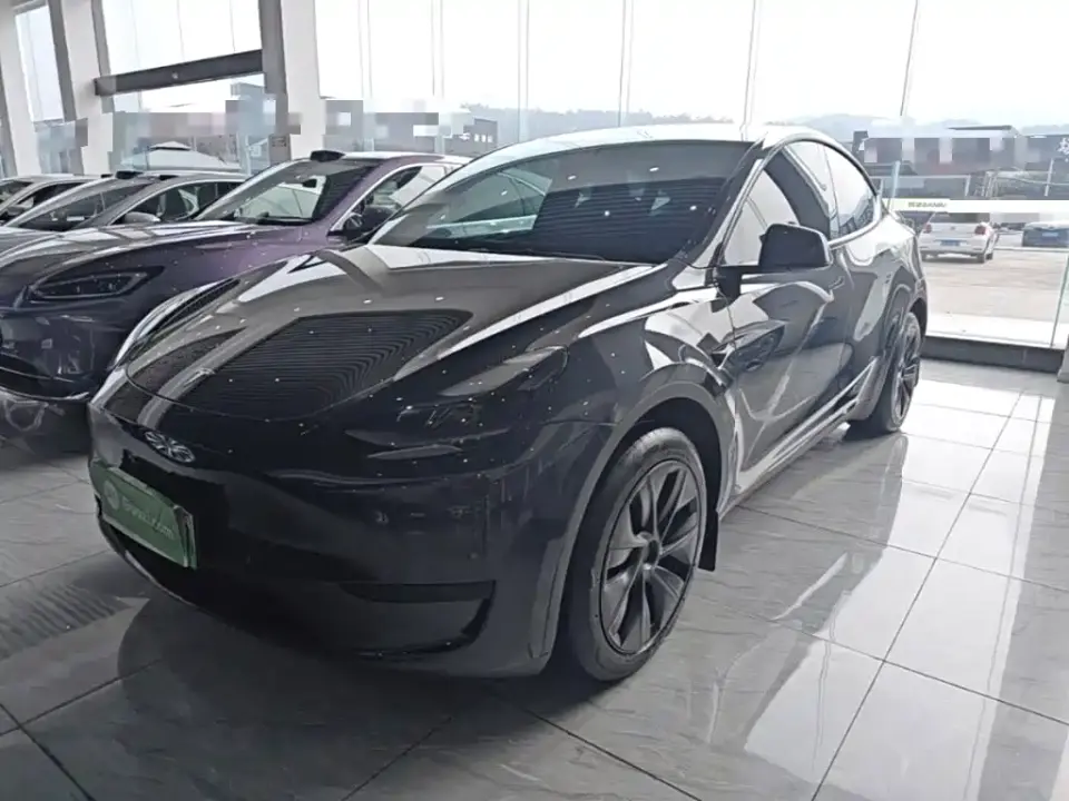 Tesla Model Y Rear-Wheel Drive Version 2024