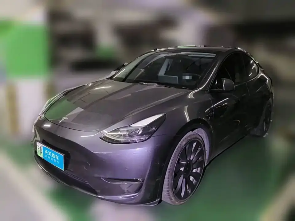 Tesla Model Y Performance High-Performance All-Wheel Drive Version 2022