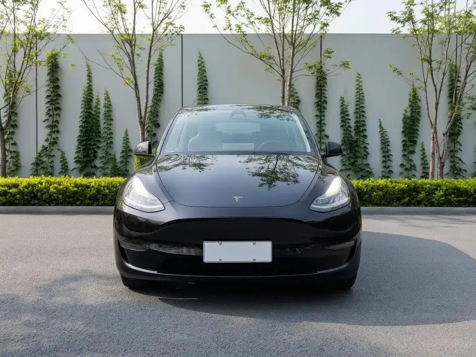 Tesla Model Y Rear-Wheel Drive Version 2022