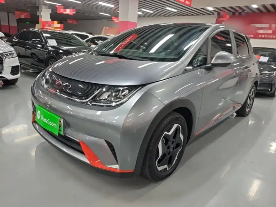 BYD Dolphin Model 405km Fashion Edition 2022