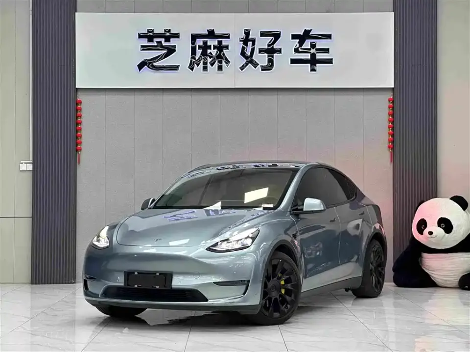 Tesla Model Y Model Long Range AWD 2021