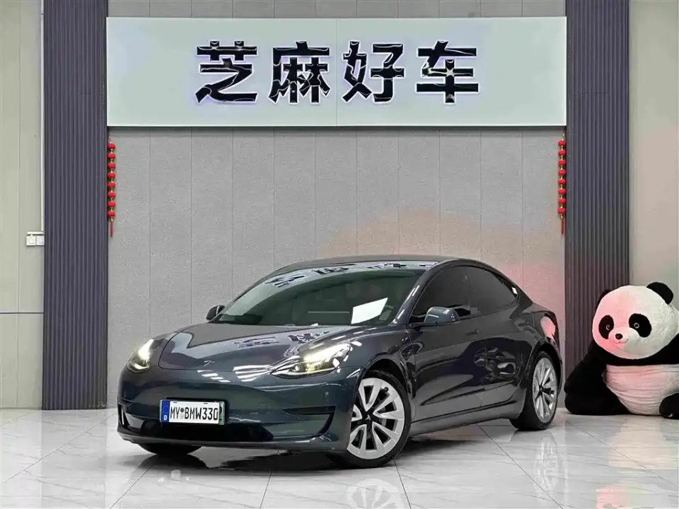 Tesla Model 3 Standard Range Rear-Wheel Drive Upgrade 2021